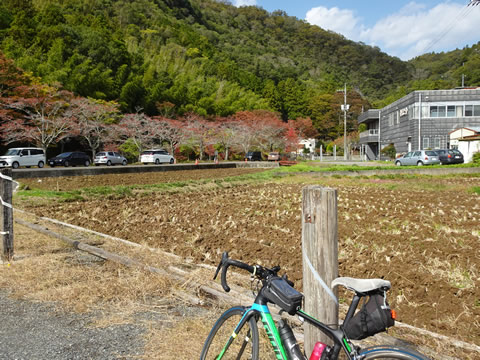 山の紅葉