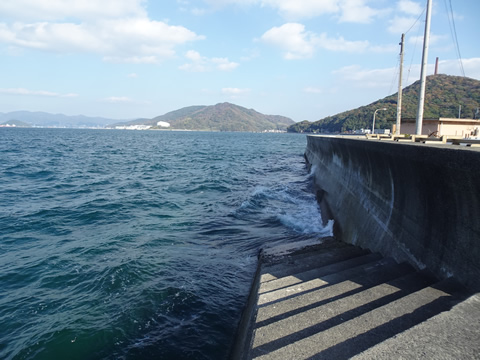 漁港からの海