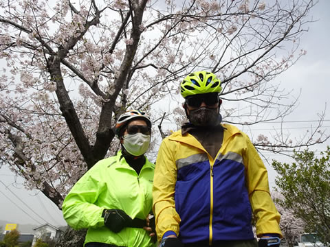 西河原緑地の桜３