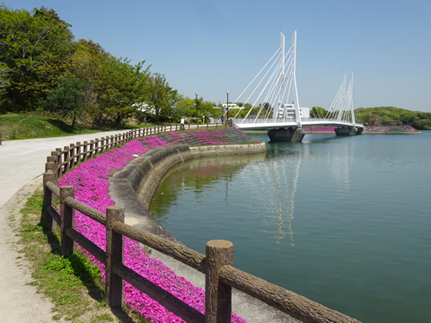 常磐公園の橋