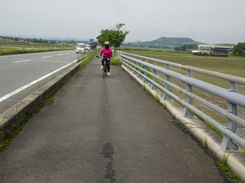 南部海岸道路