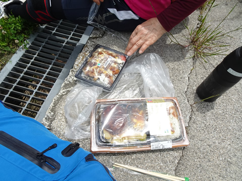 河川敷公園で弁当