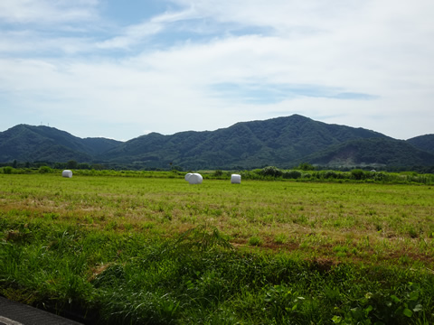 蒜山高原７