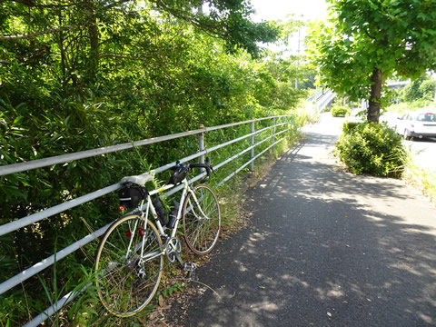 光・冠山総合公園７