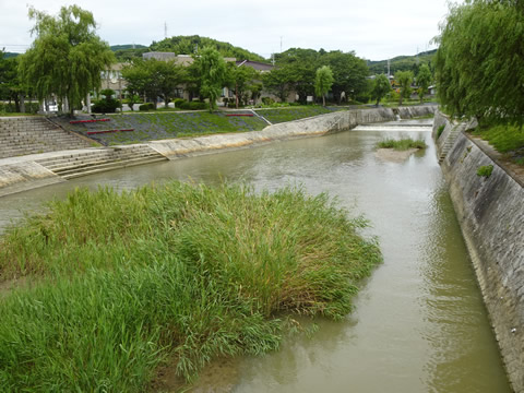 光・光井川