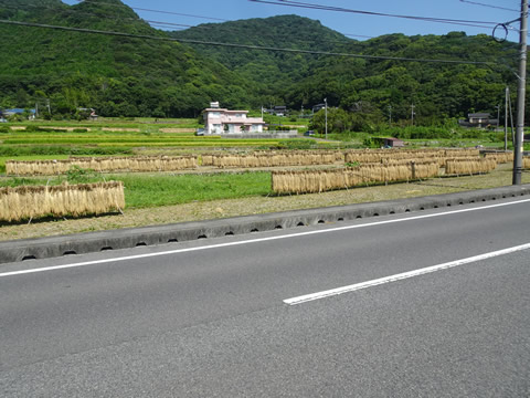 粭島に行く途中