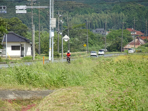 きくがわ-内日１