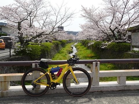 一の坂川１