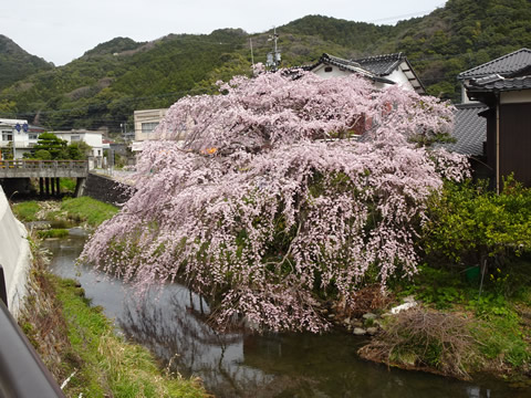 一の坂川５