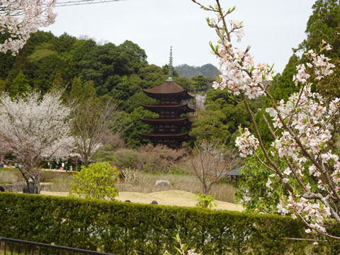 香山公園２