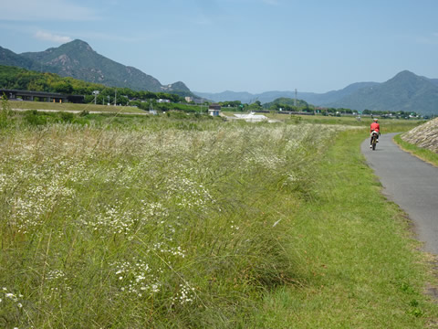 周防往還自転車道６