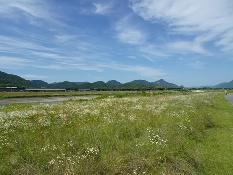 周防往還自転車道７