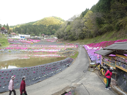 大道理-鹿野１０