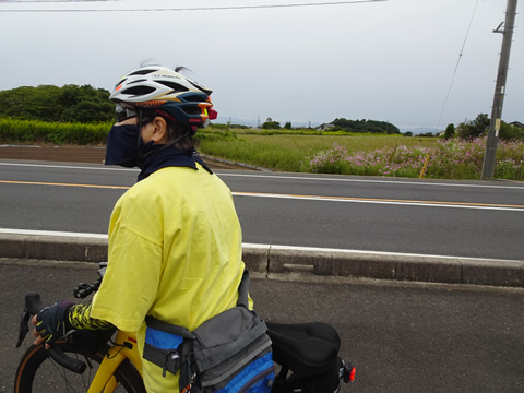 10月8日大根島３