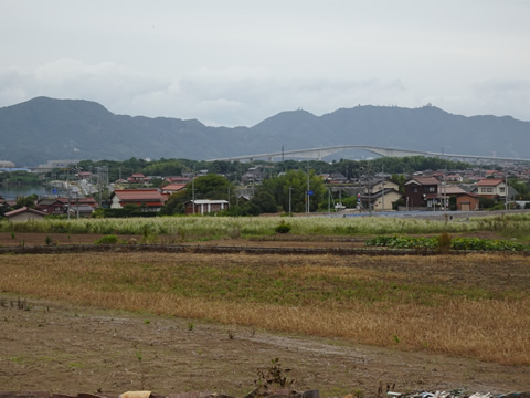 10月8日大根島４