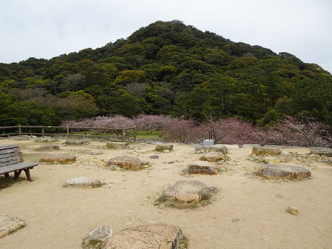 4月2日萩１０