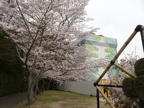 4月2日山口１