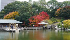 11月広島市・三景園