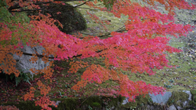 11月広島市・三景園