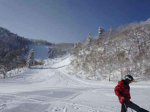 1月21日富良野４