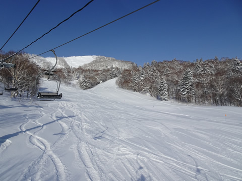 1月21日富良野５