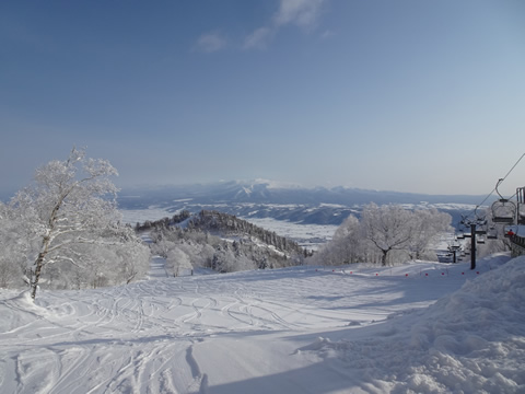 1月23日富良野３