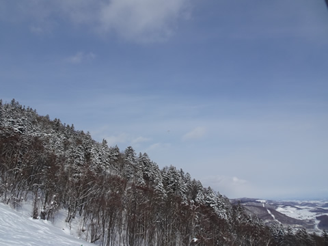 1月23日富良野５