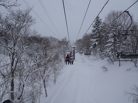 1月24日富良野４