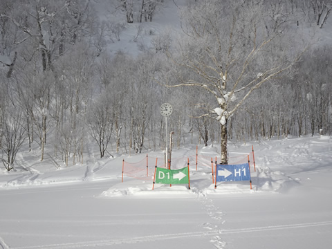 1月19日富良野１