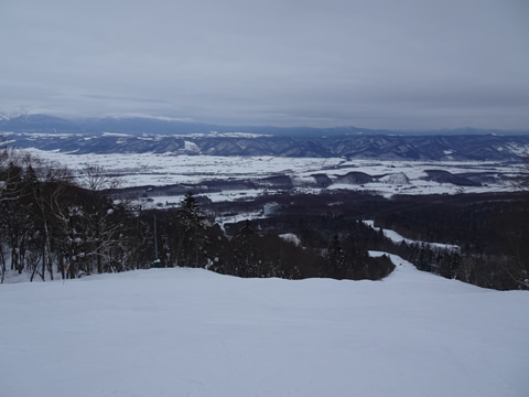 1月21日富良野４