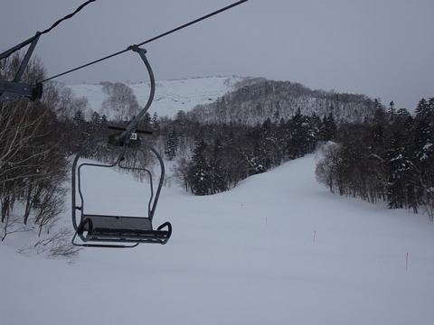 1月22日富良野２