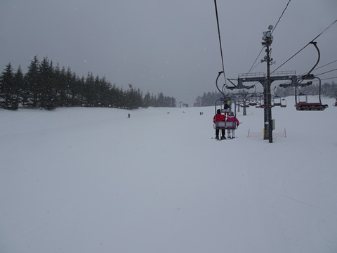 雪になりました