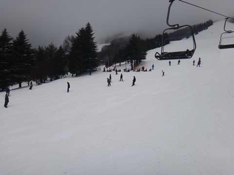 今日は祭日で多かったです