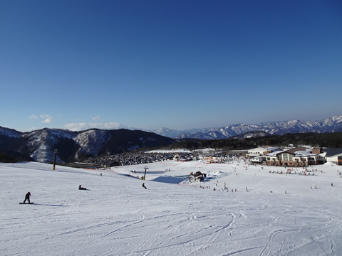 良い天気になりました