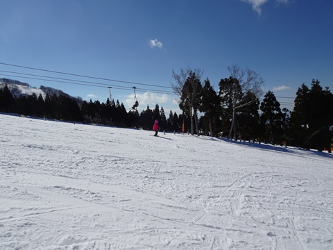 奥さんをパシャ！