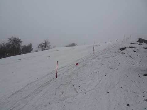 下の急斜面は雨で地が出てました