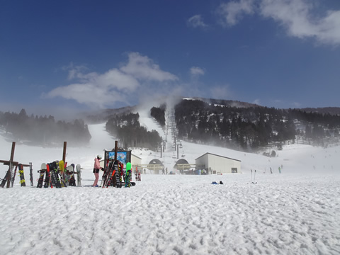 午後からは晴れてきました