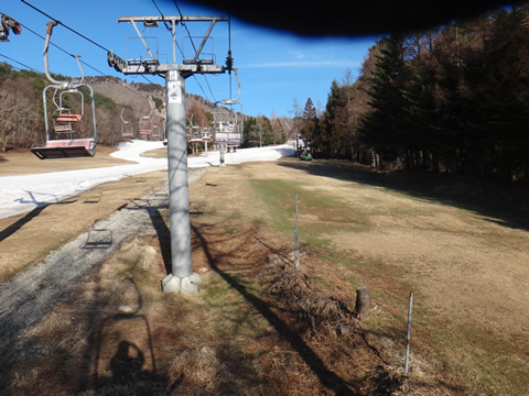 1週間で大分減っていました