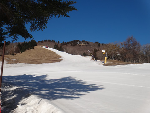 トップの雪は半分位でした