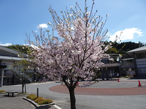 周南市熊毛総合支所