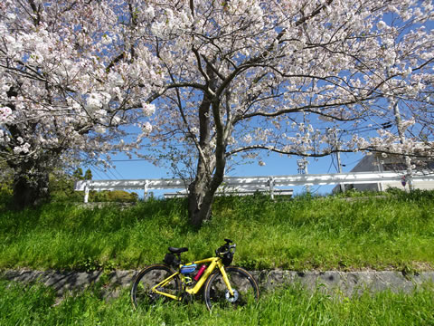 島田川河川公園