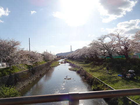 切戸川河川公園