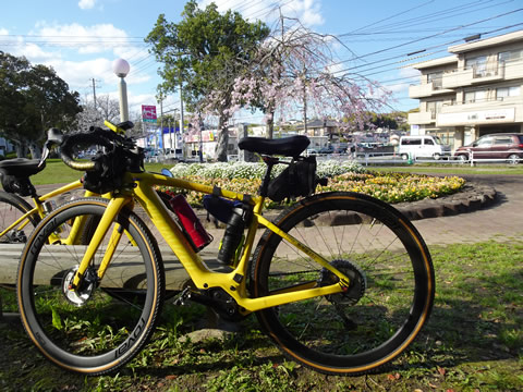 切戸川河川公園隣のチェリーパーク