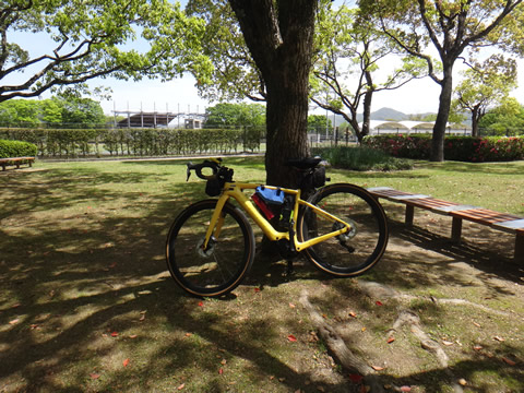 維新公園の中で弁当を食べました