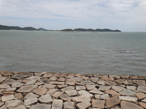 今日は強風で白波が立っていました