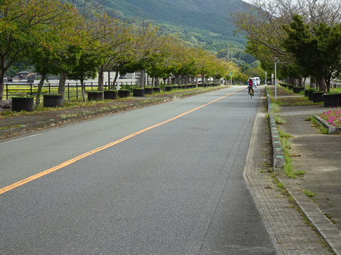 桜街道