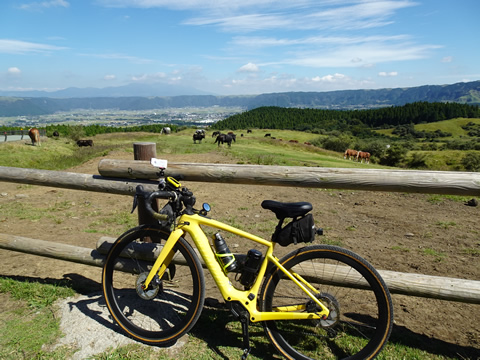 放牧場の馬と一緒に。馬は遠くに行きました